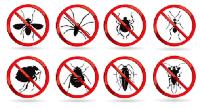 Pest Express Pest Control image 1